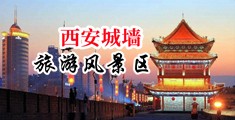 极品美,大鸡巴中国陕西-西安城墙旅游风景区