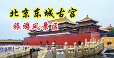 大鸡巴操死你视频中国北京-东城古宫旅游风景区